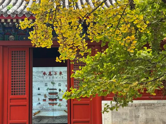 创上新石景山这个古寺将迎最美时节!AG真人澳门百家家乐花式赏秋、文(图2) 创上新石景山这个古寺将迎最美时节!AG真人澳门百家家乐花式赏秋、文(图2)